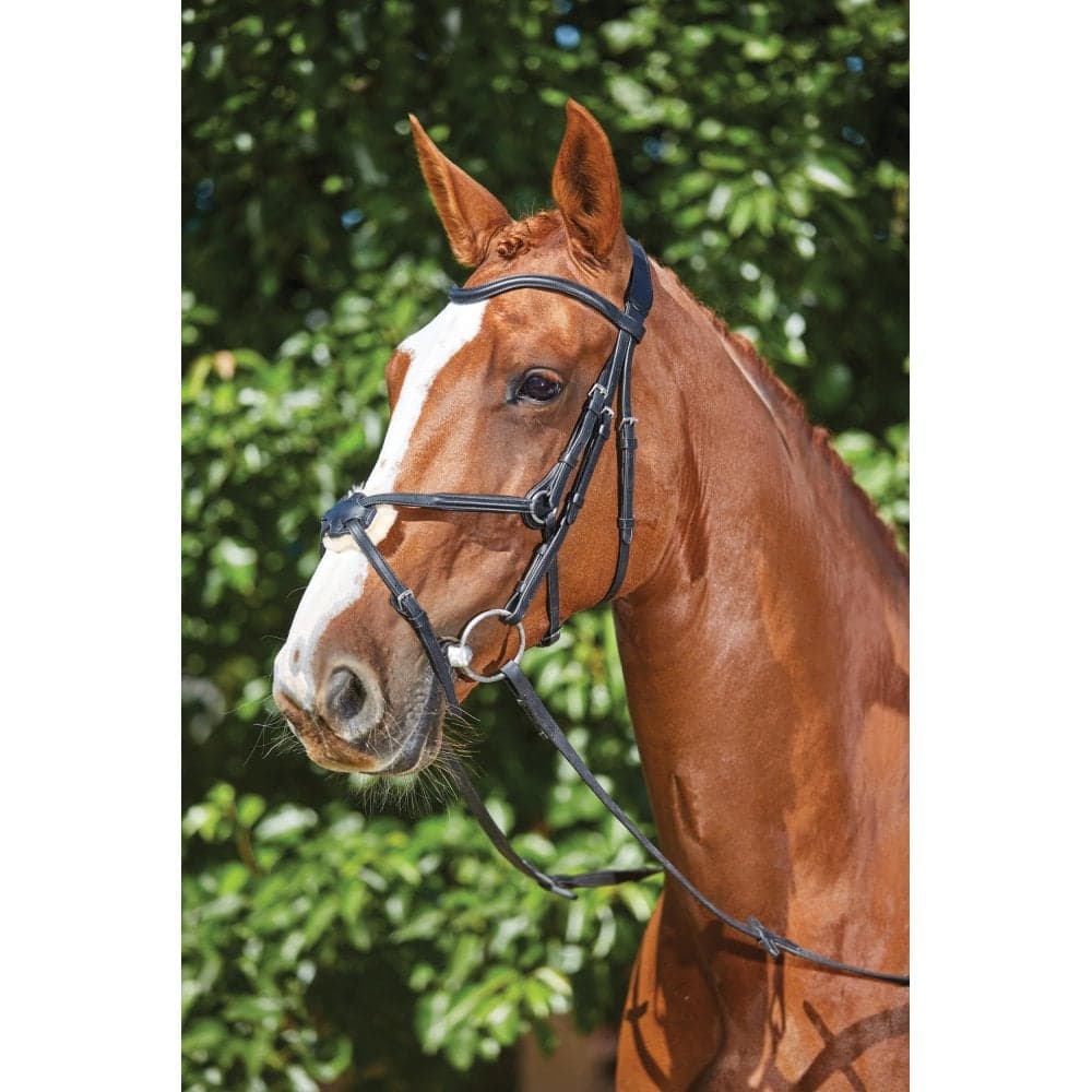 Collegiate Comfitec Grackle Bridle Colour: Brown, Size: Cob