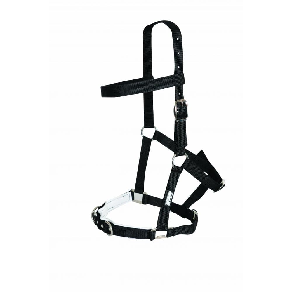 Kincade Economy Lunge Cavesson Colour: Black, Size: Cob
