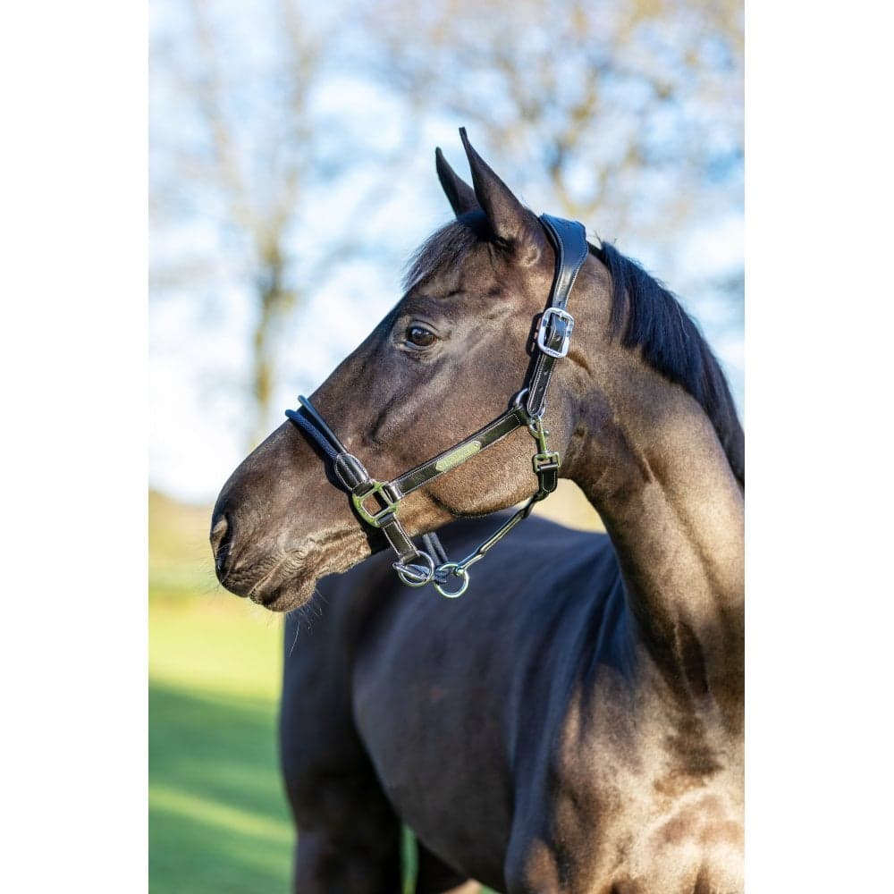 LeMieux Rope Control Headcollar Colour: Brown, Size: Cob