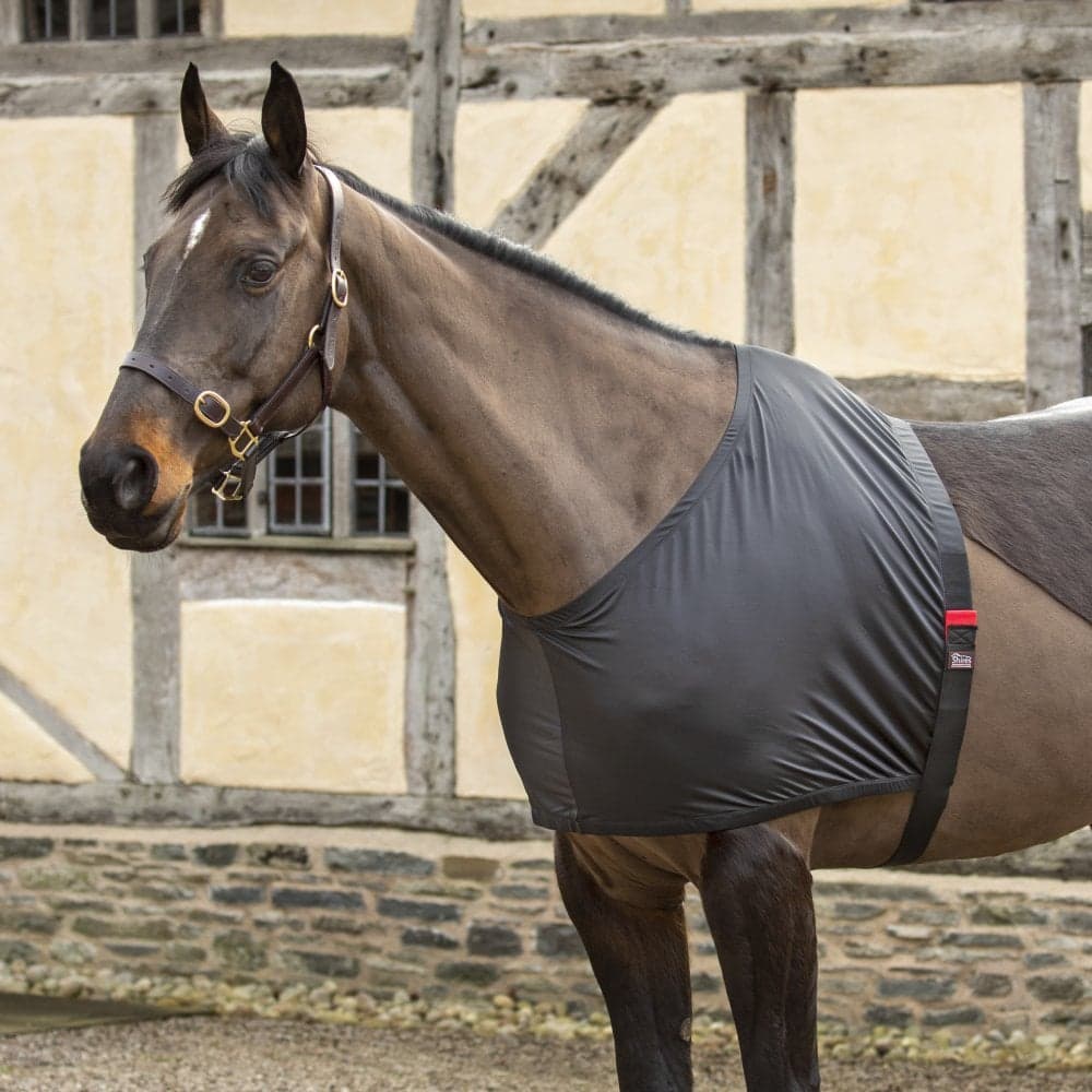 Shires Anti-Rub Stretch Vest - Black Size: Extra Full