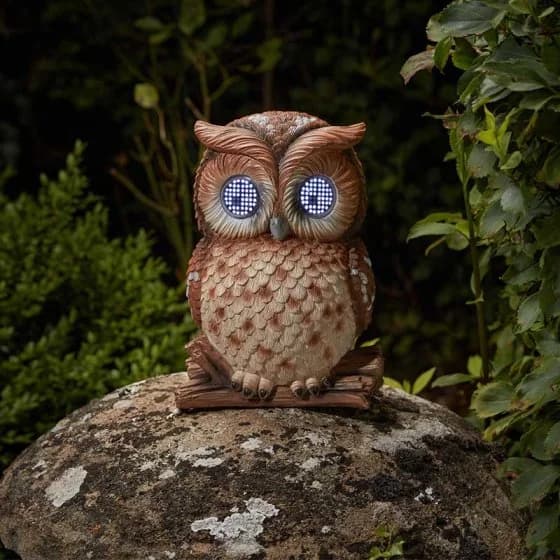 Blinkin' Owl XL