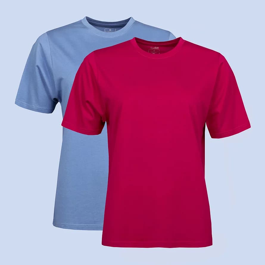 Women's Bamboo T-Shirts 2 Pack – Soft, Breathable Bamboo Crew Neck Tees | Spairs Blue / Berry 12