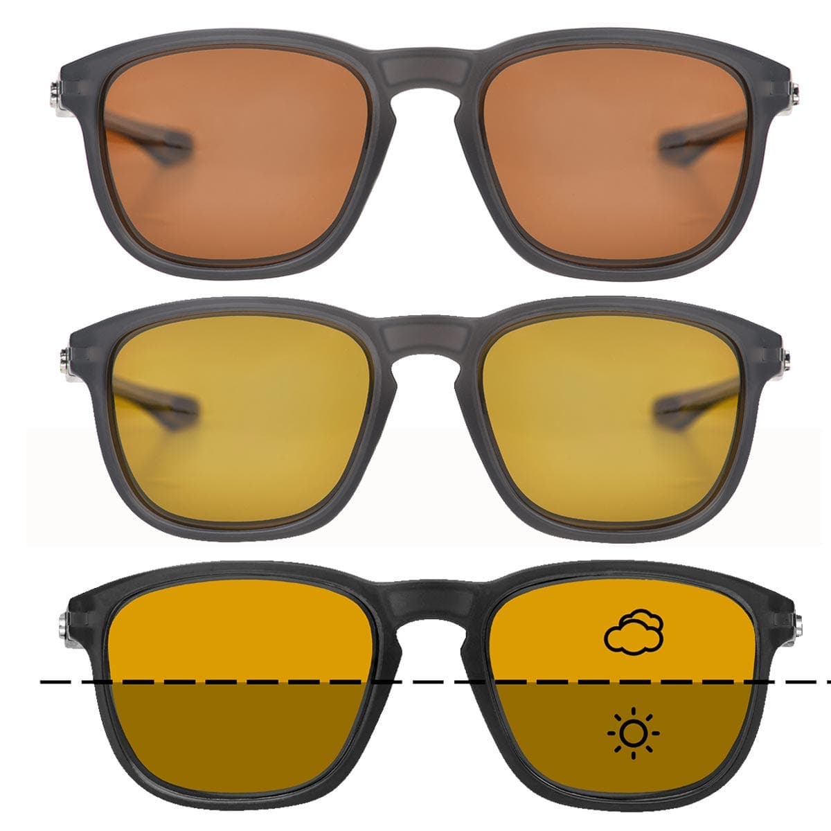 Fortis Strokes Polarised Sunglasses