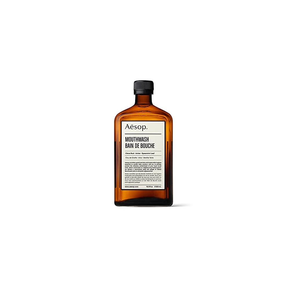 Mouthwash | 500mL/16.9oz Bad Breath Mouthwash | Oral Care & Bad Breath Treatment | Alcohol-Free Mouth Wash Liquid