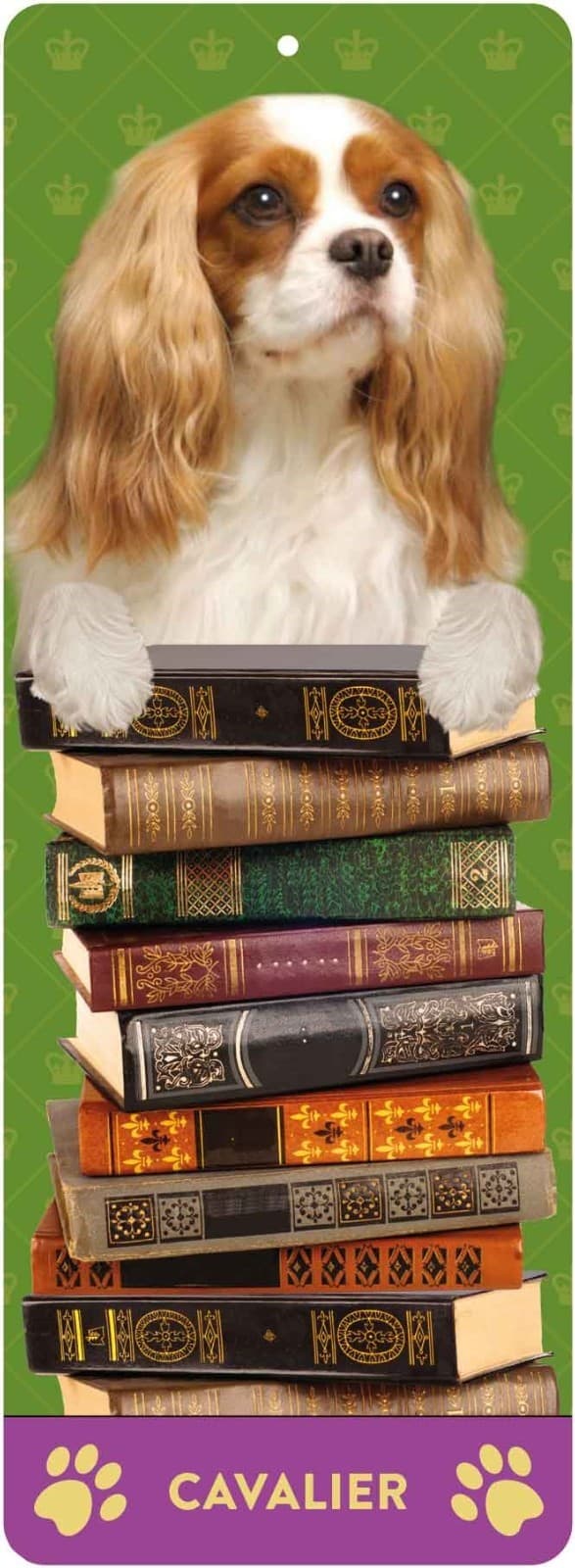 Cavalier King Charles Dog Bookmark Gift with 3D Front Picture| Poem on the back