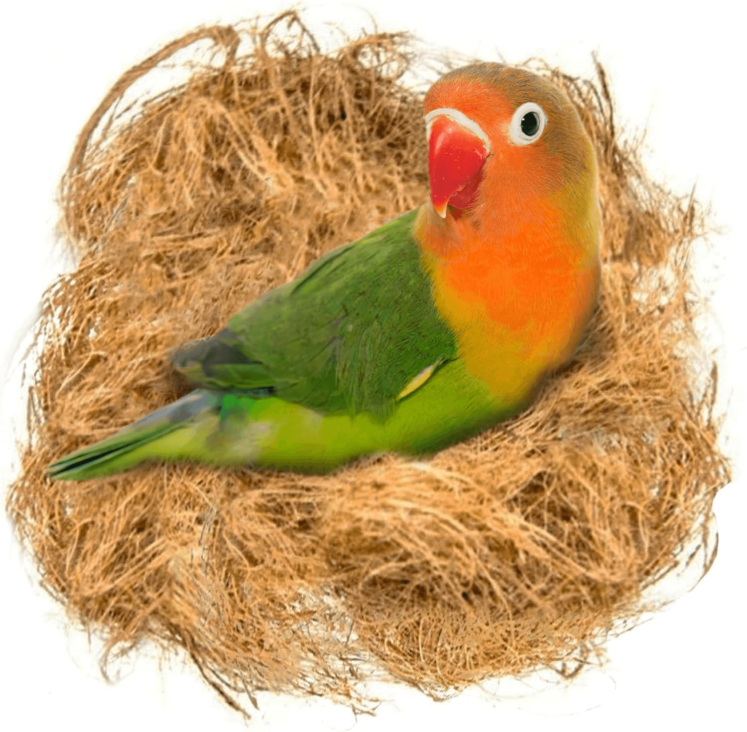 45g Finch Coconut Fiber Nesting Material Loose Bedding For Bird Cages Nest
