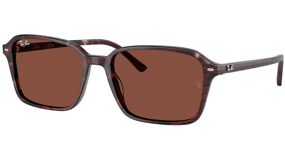 Ray-Ban RB2231 Raimond 1416C5 Men's Sunglasses Purple Size 56