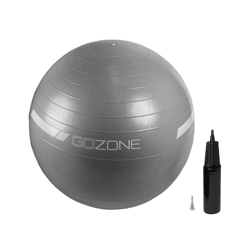 65cm STABILITY BALL Exercise Ball Yoga Ball for Fitness, Balance, 3lb Weighted ball for added Stability, or Pregnancy, Gym Ball for Core Workout,