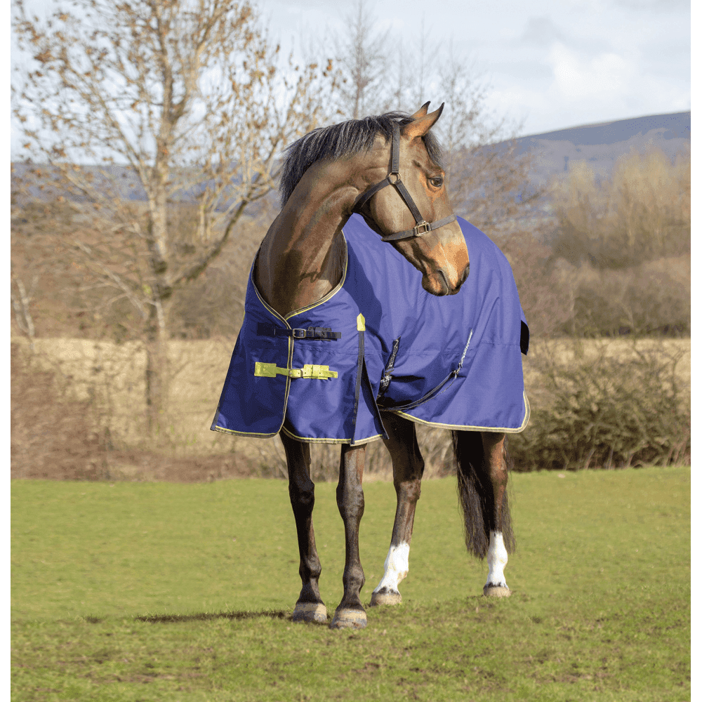 Asker 200g Horse Standard Neck Turnout Rug - Navy Blue Size: 5ft3