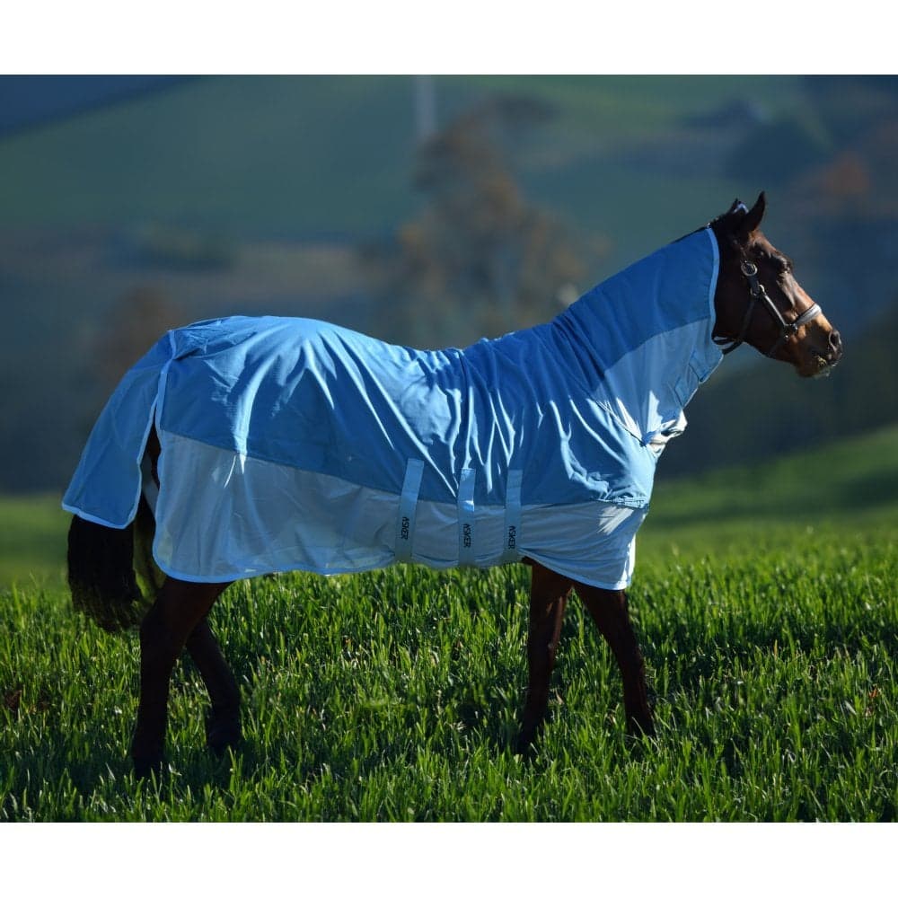 Asker Rain Waterproof Fly Combo Rug - Teal Size: 7ft0