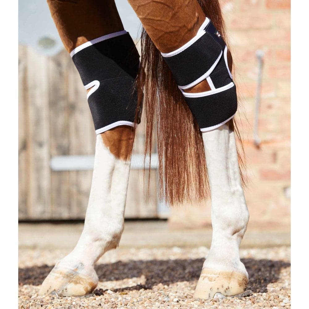 Premier Equine Bi-Polar Magni-Teque Hock Boots - Black