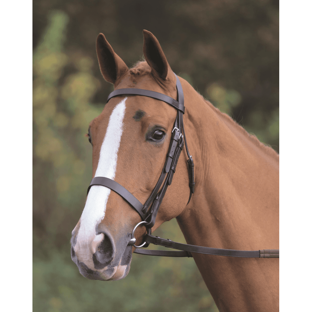 Shires Aviemore Plain Bridle With Rubber Grip Reins - Havana: Mini Siz