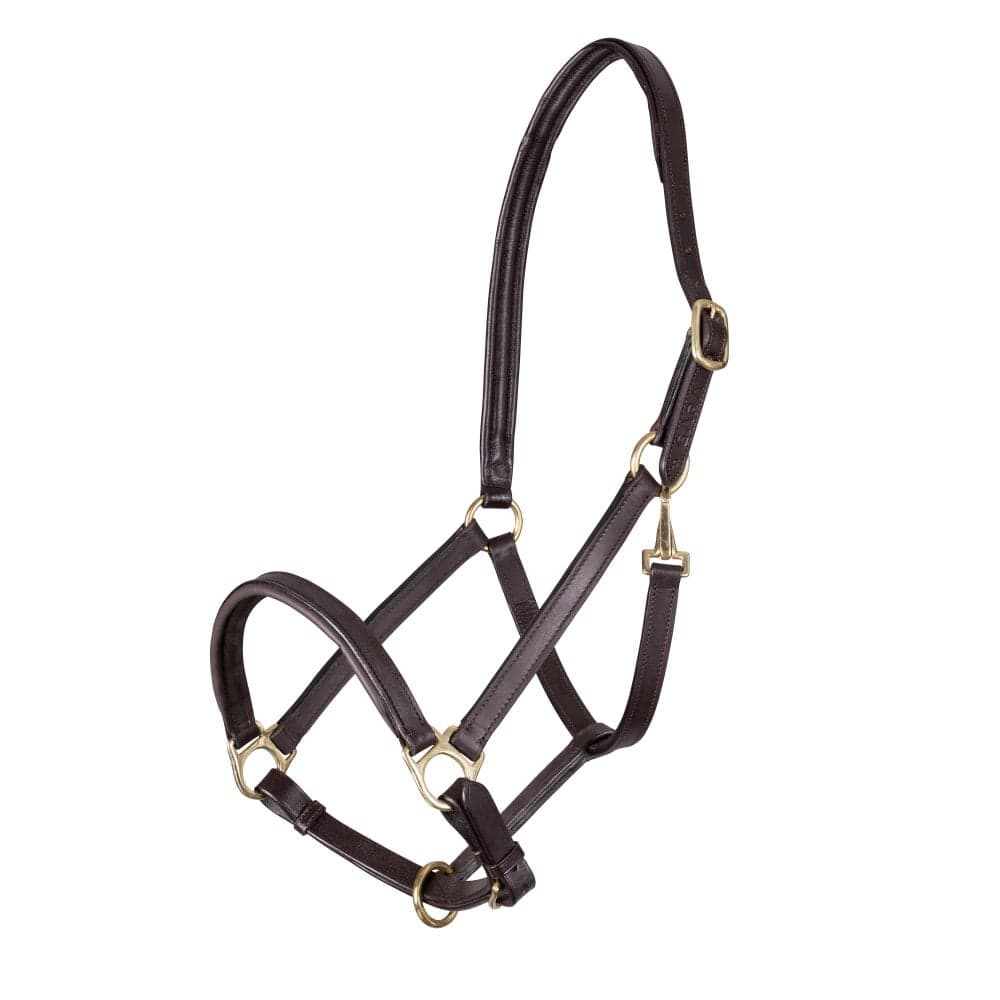 Shires Velociti GARA Ragley Lined Leather Headcollar: Black: Pony Colo