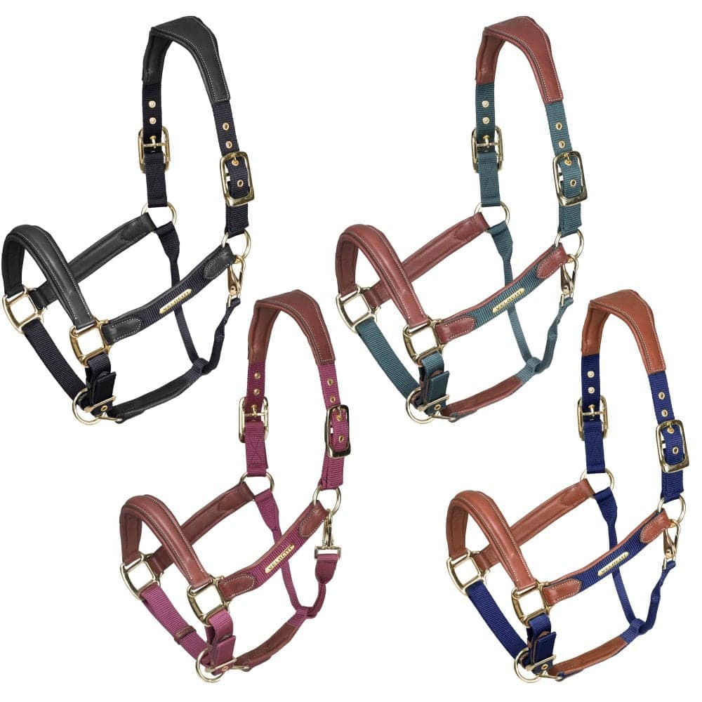 Shires Velociti Lusso Padded Leather Headcollar Colour: Burgundy, Size