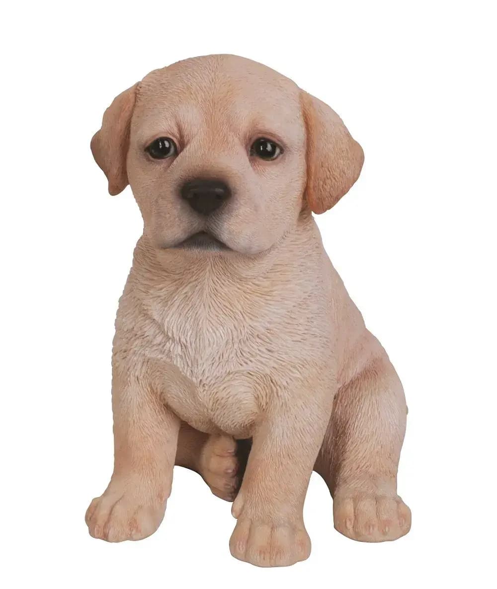 PP Golden Labrador Pup F
